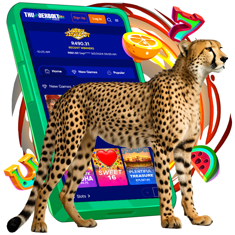 casino cheeta